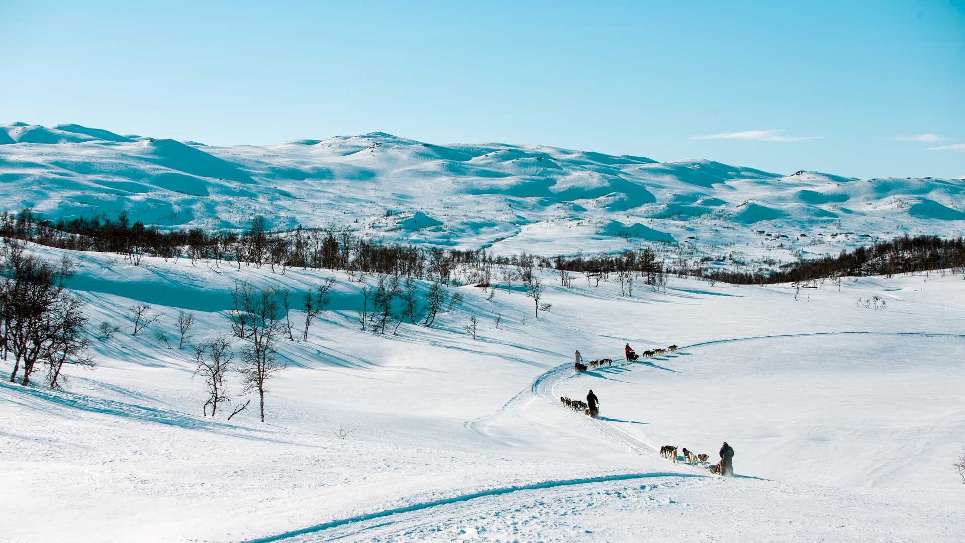 Hundekjøring gjennom snødekt landskap i Norge med fjell i bakgrunnen under en klar blå himmel.