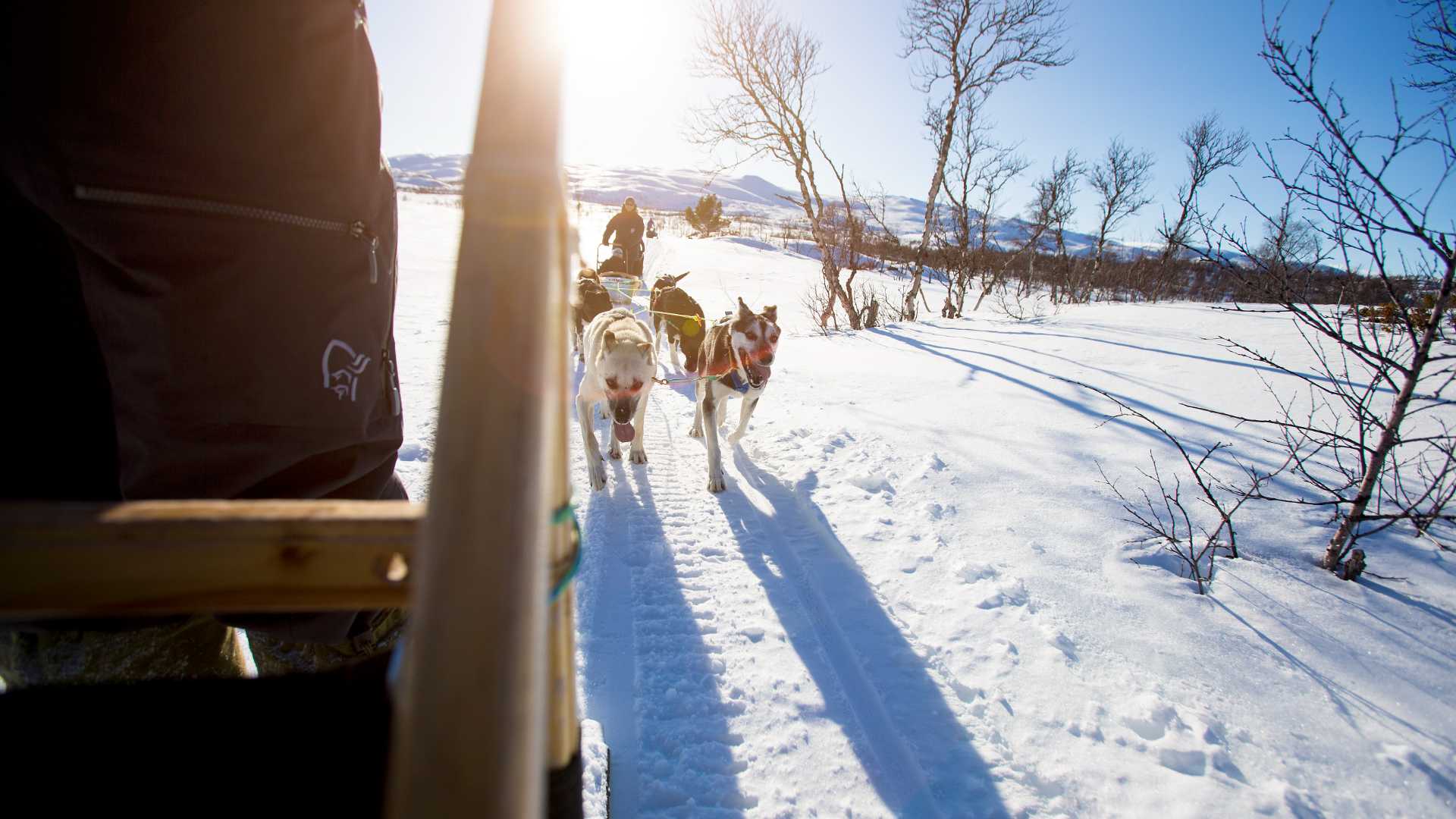 Hundespann trekker slede gjennom snødekt landskap i solfylt vær.