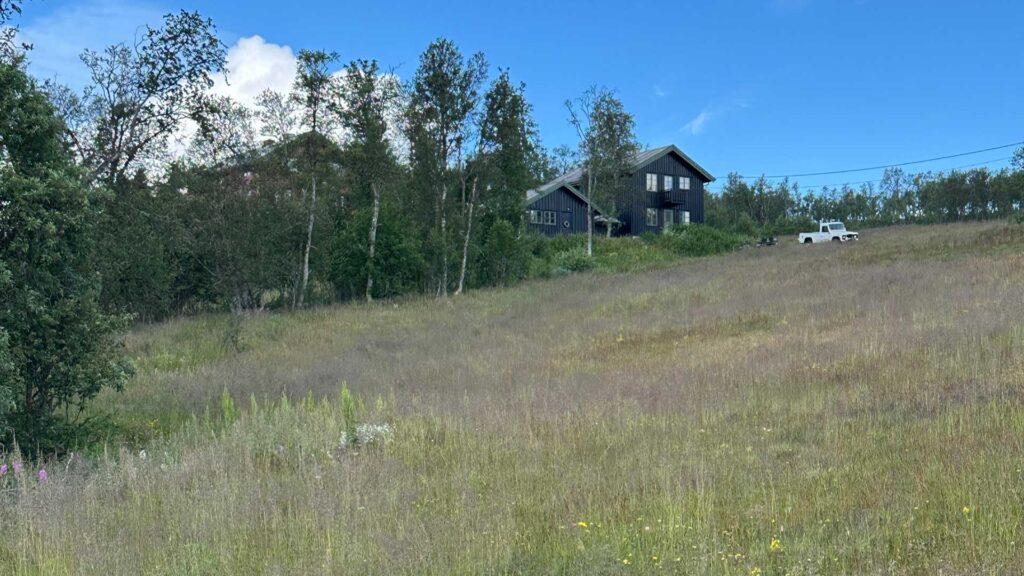 Trehus i norsk landskap med blå himmel og markblomster i forgrunnen. Hvit bil ved siden av huset.