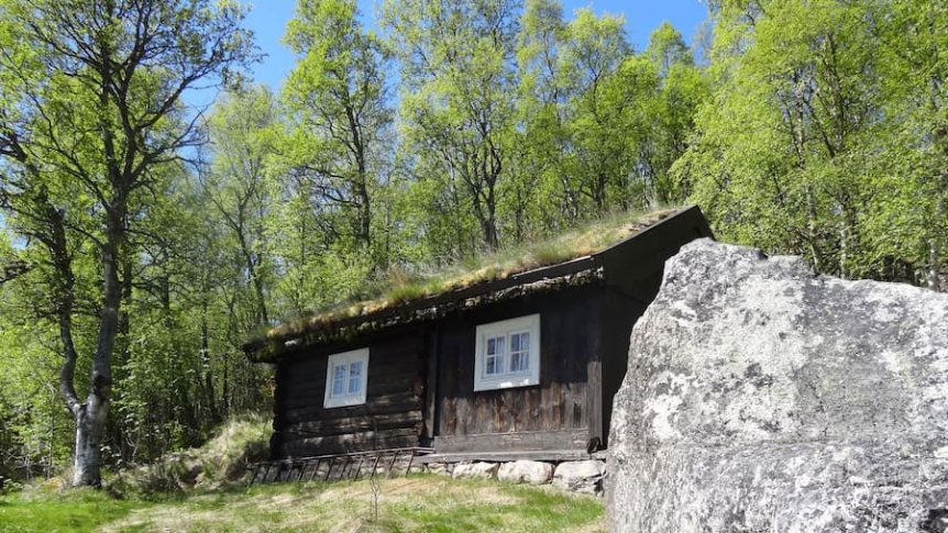 Gammel tømmerhytte med torvtak i en skogkledd landskap på en solfylt dag.