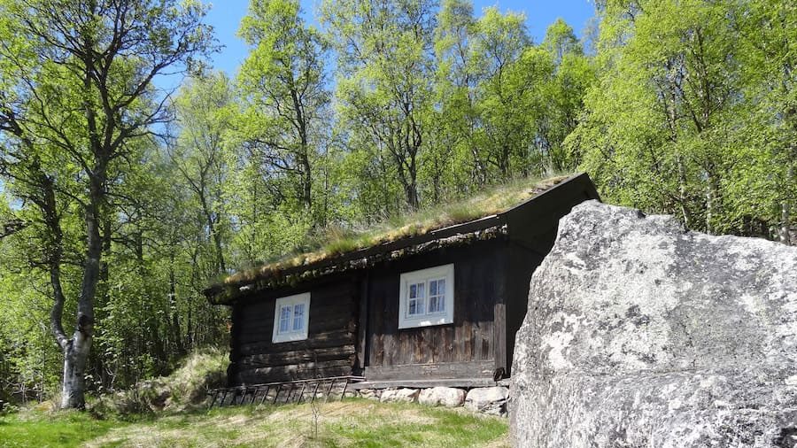 Gammel tømmerhytte med torvtak i en skogkledd landskap på en solfylt dag.