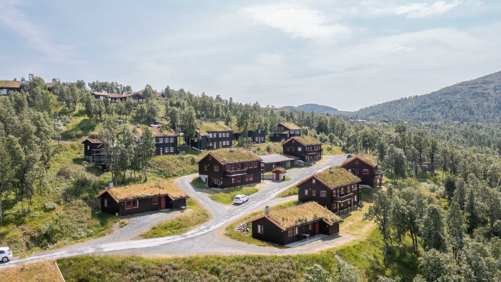 Koselige tømmerhytter med gresskledde tak i naturskjønt norsk landskap. Hyttetur i fjellene.