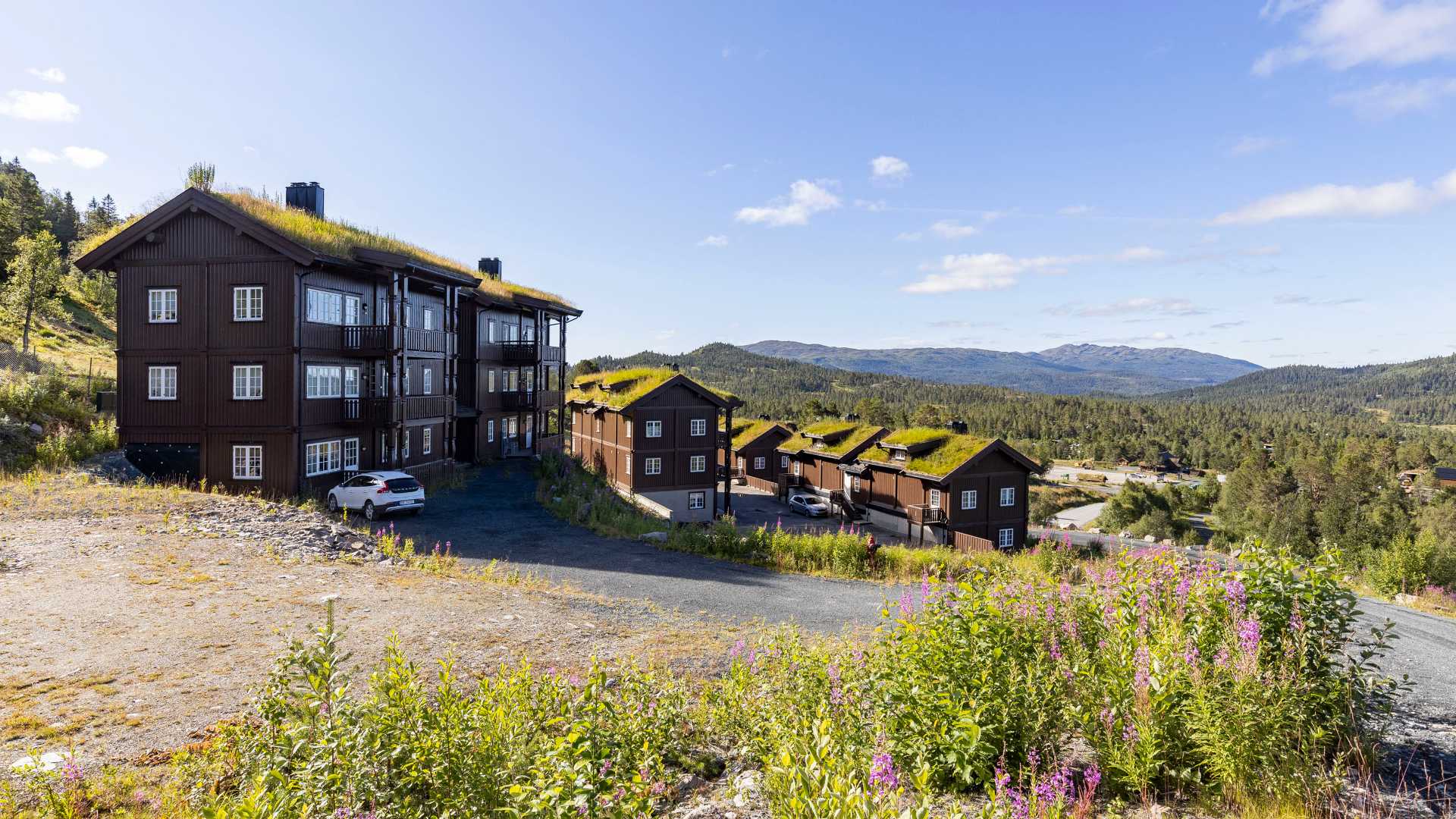 Brune trebygninger i naturskjønt område med fjell og blå himmel i bakgrunnen, grønne tak og markblomster.