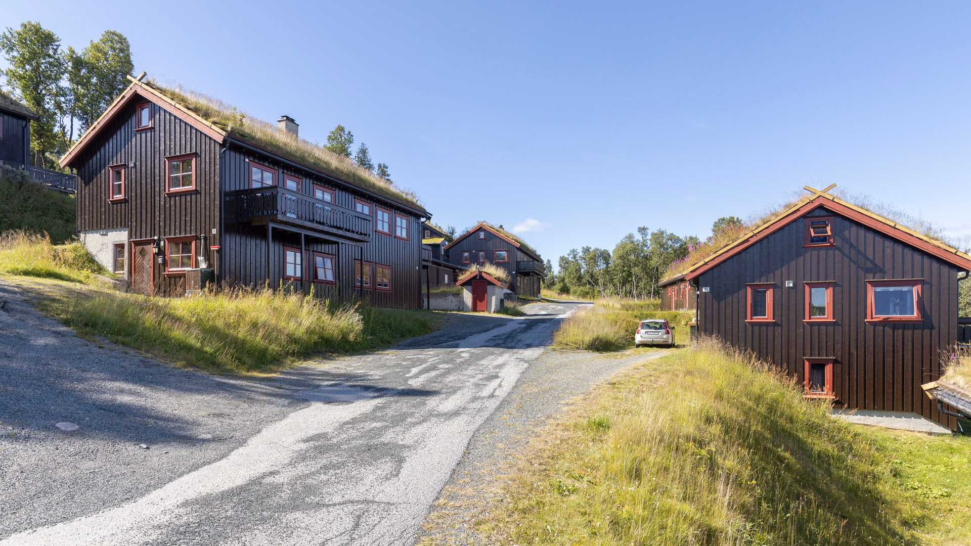 Tradisjonelle norske trehus med torvtak i solfylt landskap, omgitt av grønt gress og blå himmel.