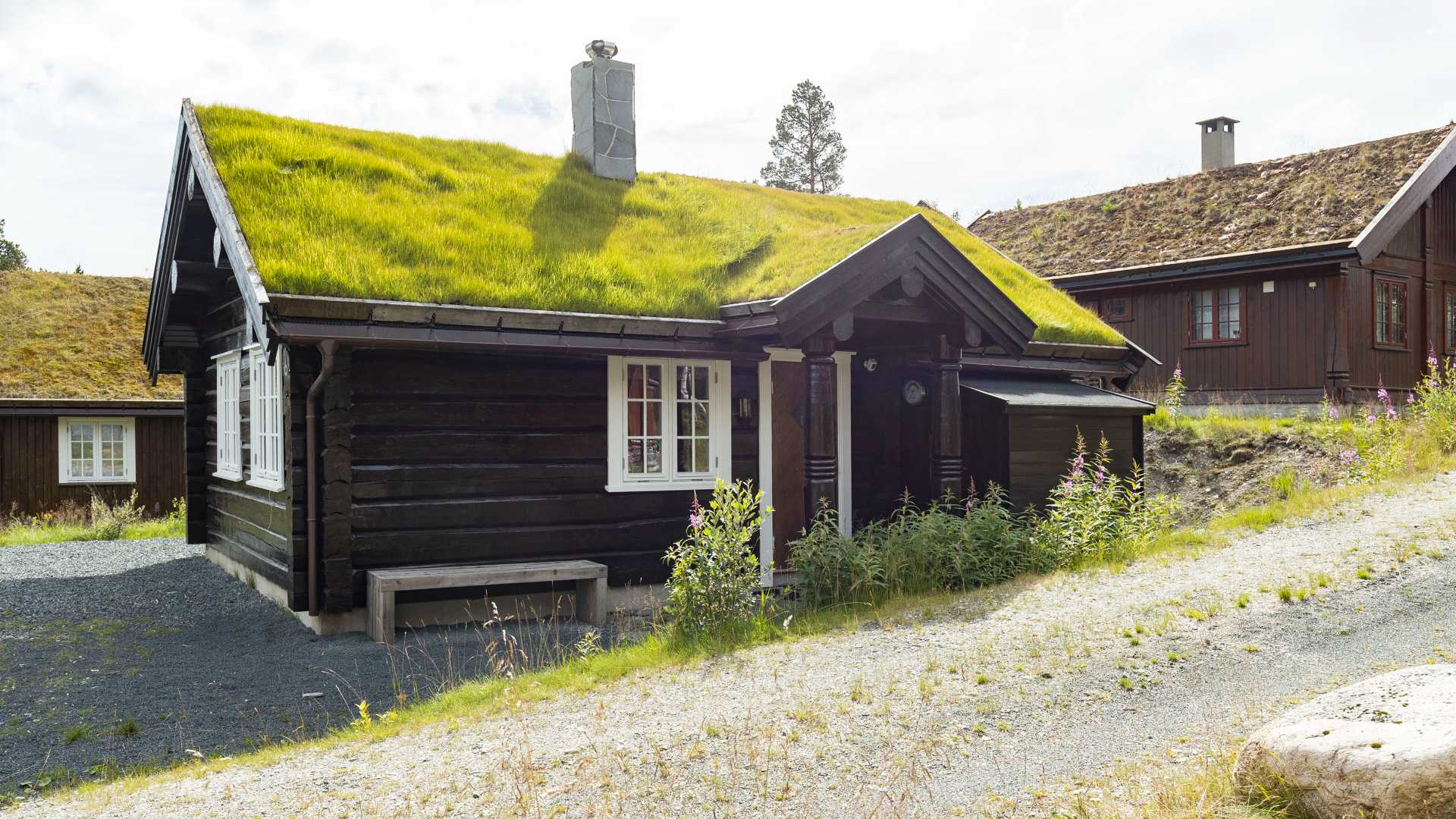 Tretakshytte med torvtak i norsk landskap under solfylt himmel.