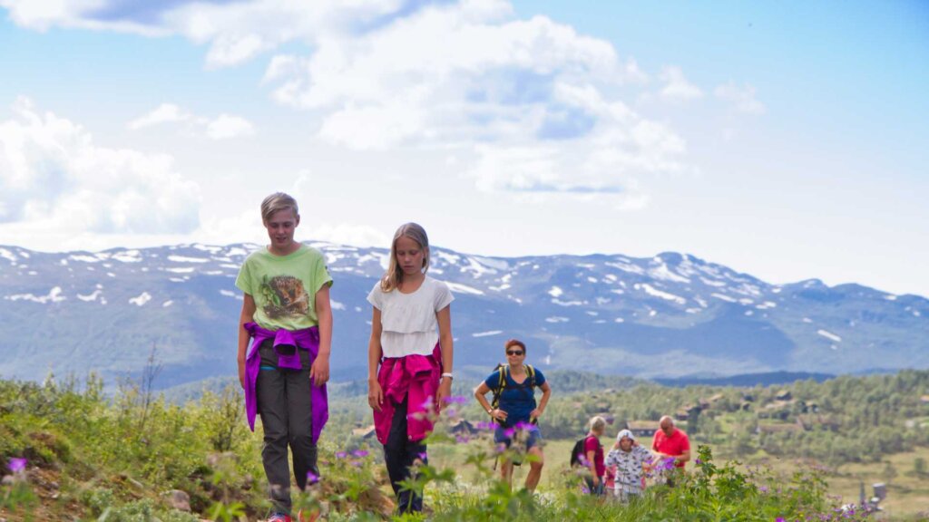 Familie på fottur i fjellet med vakker utsikt og blomster. Solfylt dag med skyer i bakgrunnen.