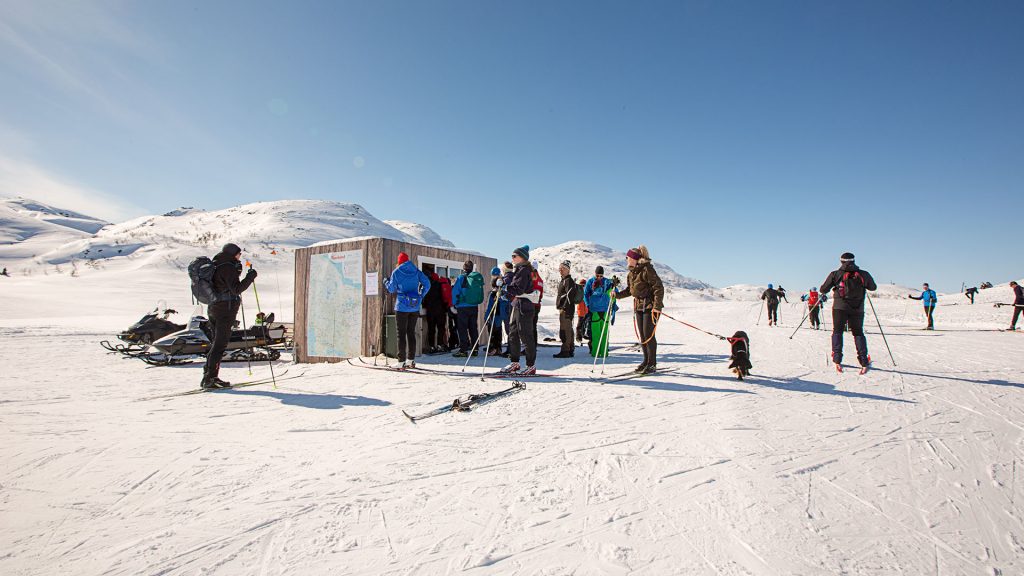 Folk på ski leser kart på fjellet i solskinn, med snødekte topper i bakgrunnen, Norge.