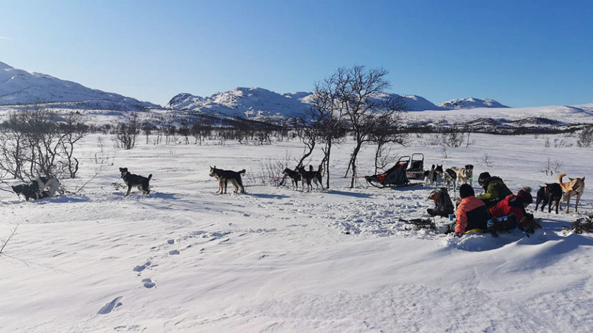 Hundesledetur i snødekte landskap med fjell i bakgrunnen. Flere hunder trekker slede, klare for eventyr.