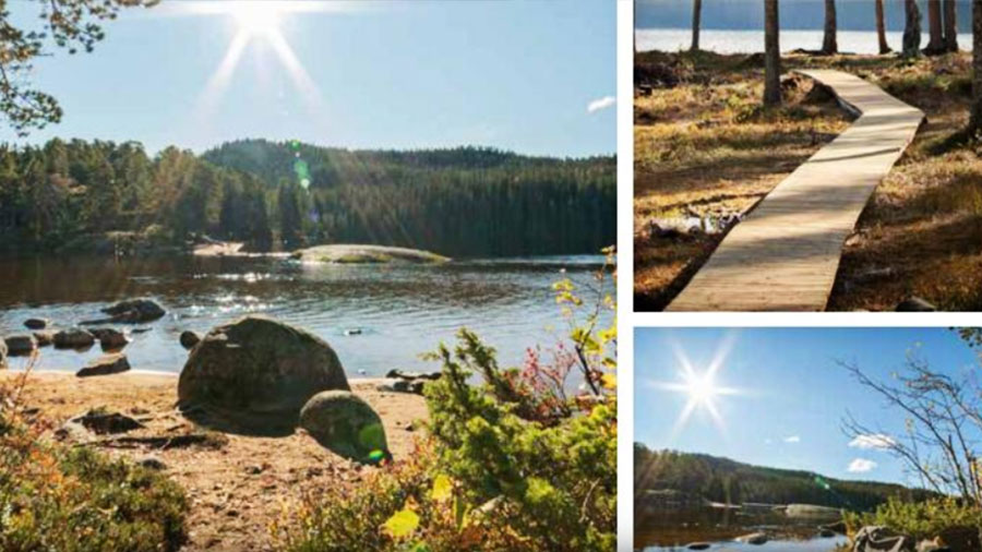 Solrik dag ved innsjøen med skog, tresti og solstråler i Norge. Perfekt for utendørsaktiviteter og naturopplevelser.