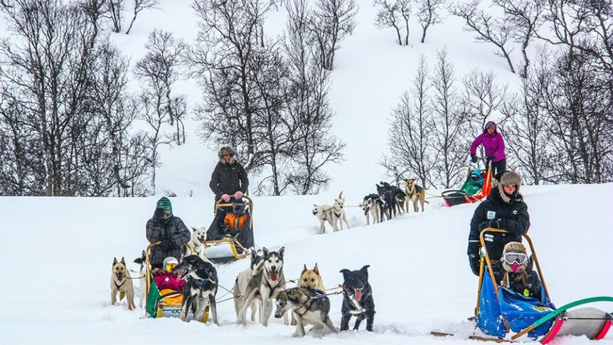 Mennesker på hundesledetur i et snødekt landskap med trær i bakgrunnen. Perfekt vinteraktivitet i Norge.