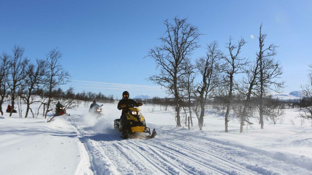 Snøscooterkjøring i norsk vinterlandskap, klar blå himmel og snødekte trær i bakgrunnen.