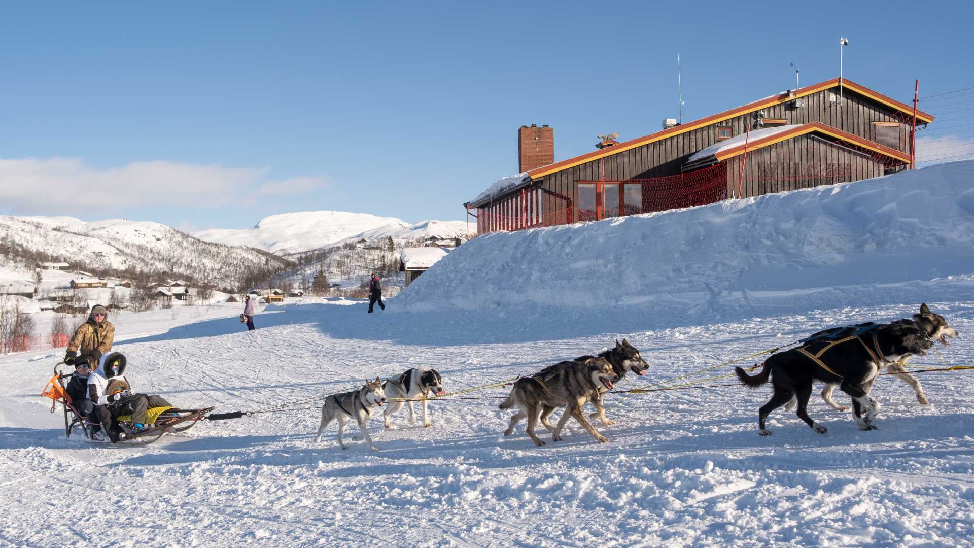 Hundekjøring i snødekte fjell, en slede trukket av hunder ved en hytte. Perfekt vinteraktivitet i Norge.