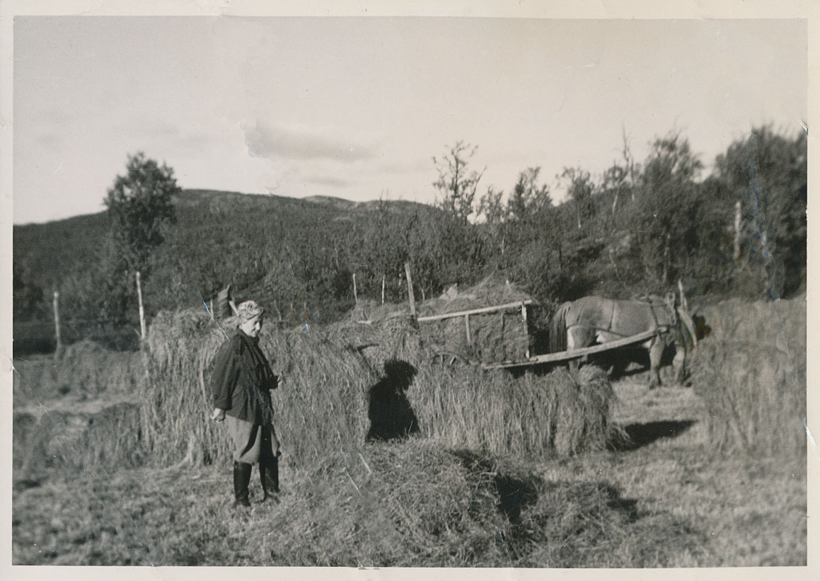 Gammel kvinne står ved en hest med vogn på en gård, omgitt av høy og skog, vintage landsbyliv.