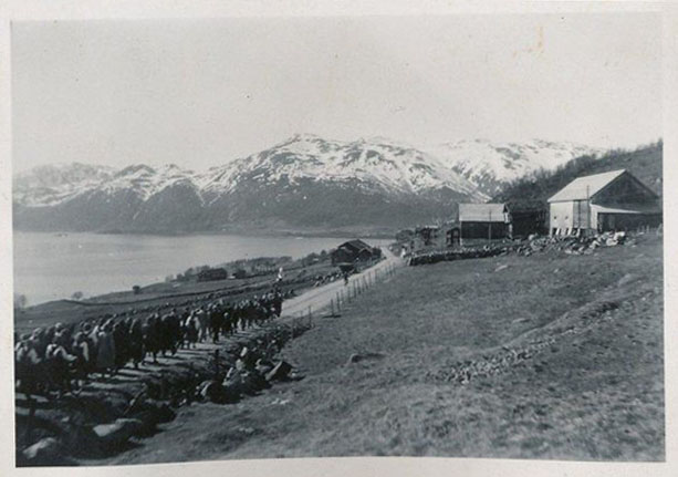 Svart-hvitt bilde av fjorder og fjell med snø i bakgrunnen, gårdshus og en stor gruppe sauer til venstre.