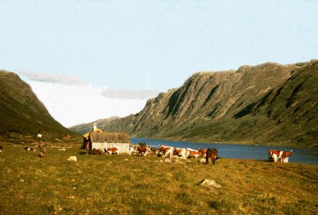 Fjellandskap i Norge med kuer, en hytte ved innsjøen og majestetiske fjell i bakgrunnen.