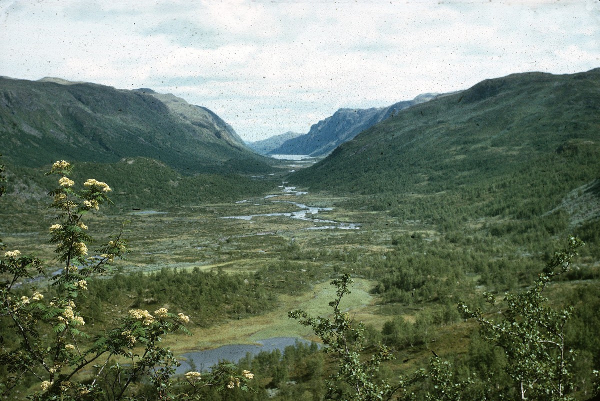 Utsikt over norsk dal med frodig vegetasjon og meandrerende elv, omgitt av fjell og blomstrende trær.