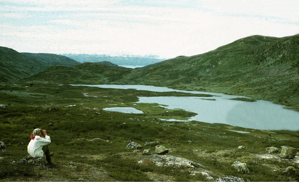 Person som ser på landskapet med kikkert ved en innsjø omgitt av grønne fjell i Norge.