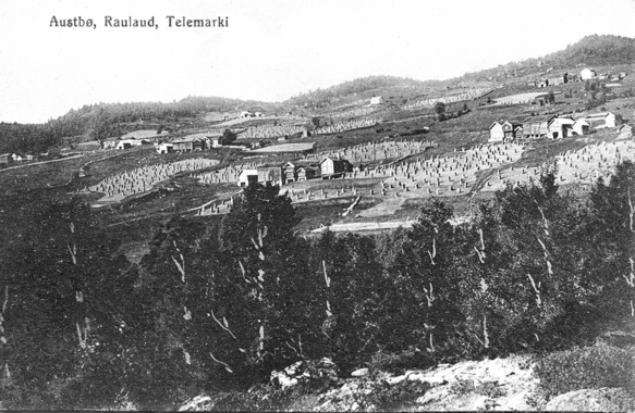 Gammelt landskap i Austbø, Rauland i Telemark, med treklynger og gårdsbygninger i åsene.