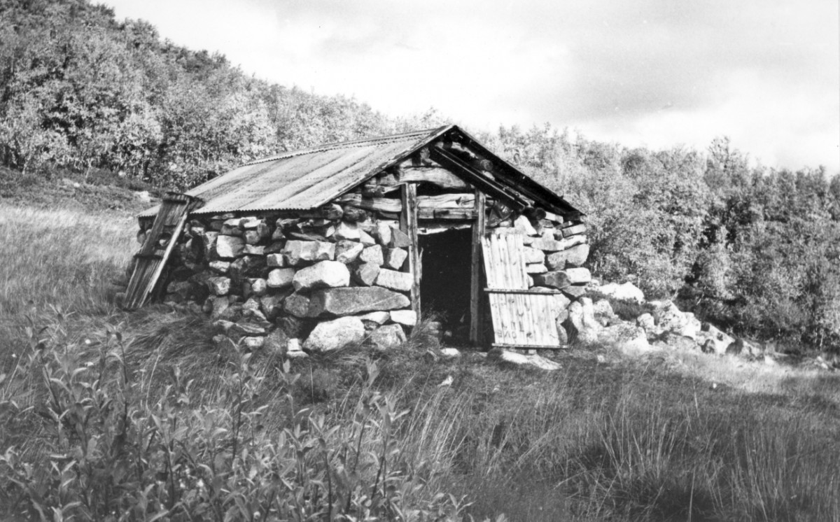 Gammel steinhytte i norsk natur med gressdekket tak og skog i bakgrunnen. Svart-hvitt bilde.
