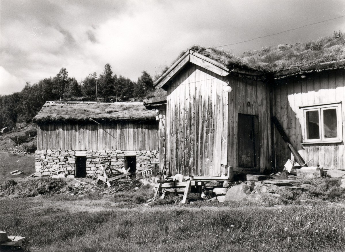 Gammelt norsk fjøs med torvtak og trevegg ved skogkanten, historisk bygningsvern.