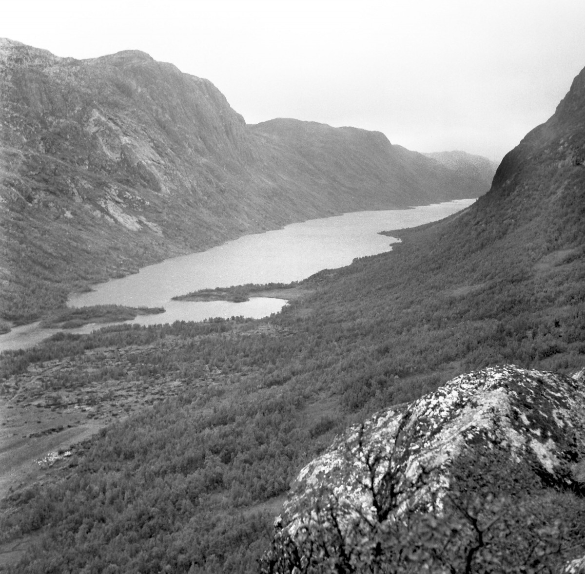 Svart-hvitt landskap med innsjø og fjell, utsikt over norsk dal.