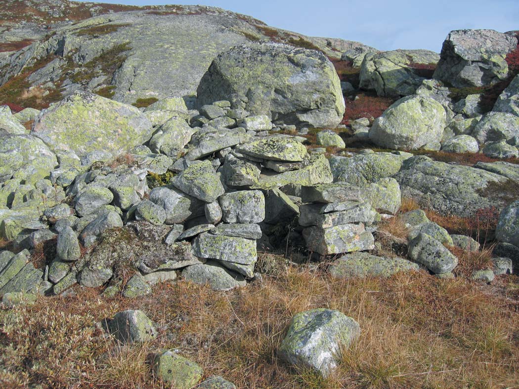 Steinrøys i naturlige omgivelser på fjellandskap, med mose og gresstrå, under en blå himmel.