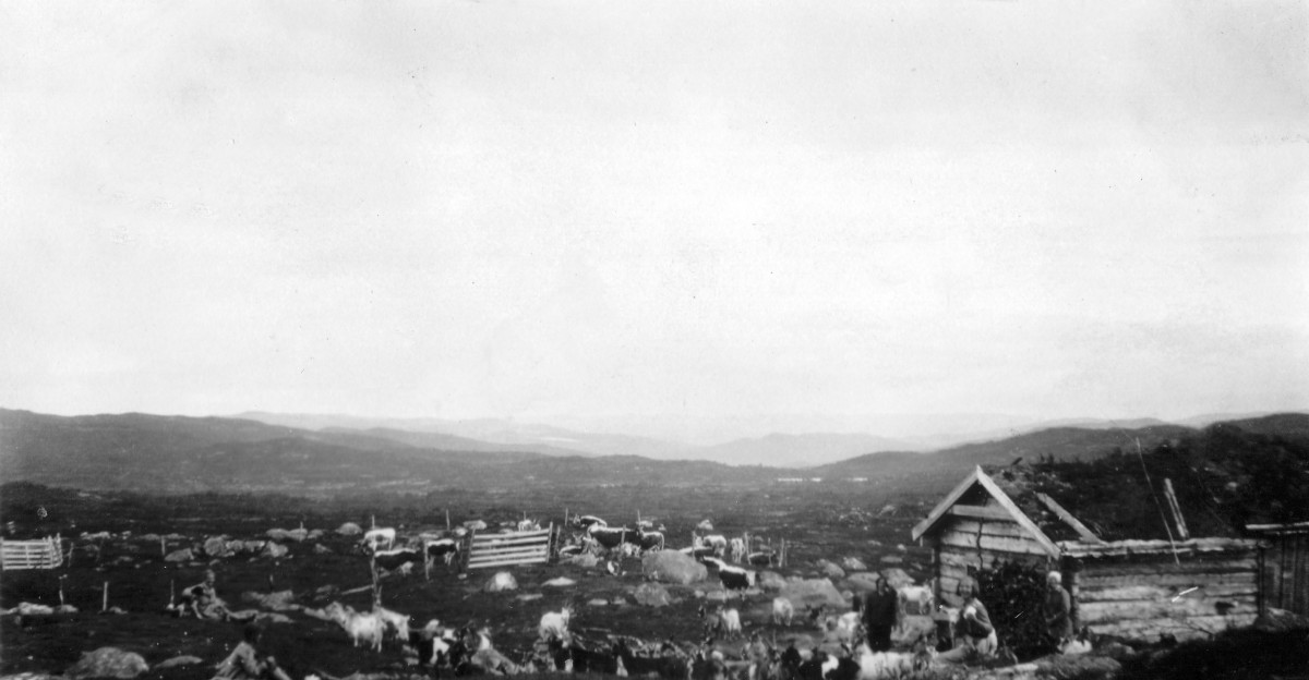historisk gårdsdrift i norsk fjellandskap