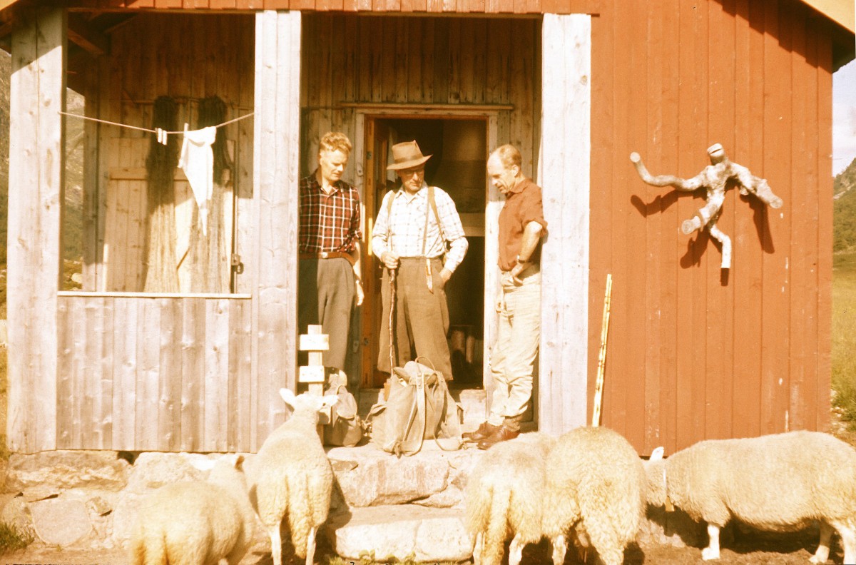 Tre menn og sauer foran en hytte i Norge, solfylt dag, tradisjonell kledning.