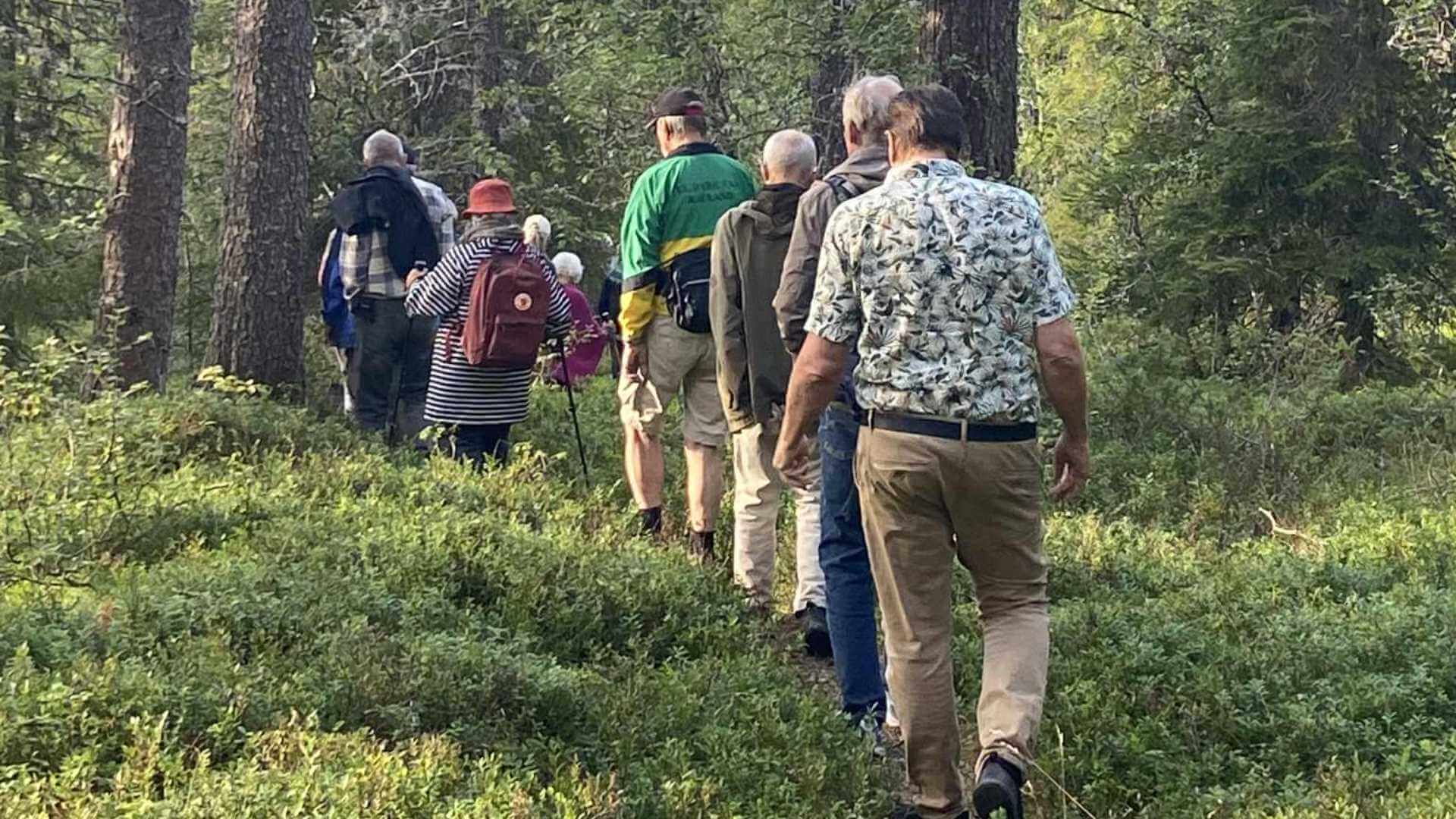 Gruppe med personar på fottur i skogen ein solfylt dag, omgjevene av tre og grønt løvverk.