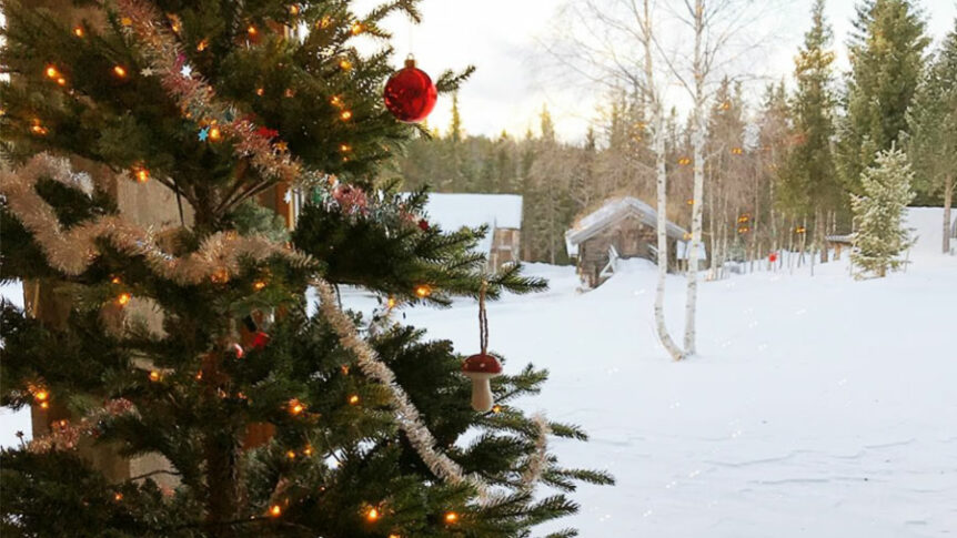 Juletre pyntet med lys og kuler foran en snødekt skogshytte i vinterlandskap.
