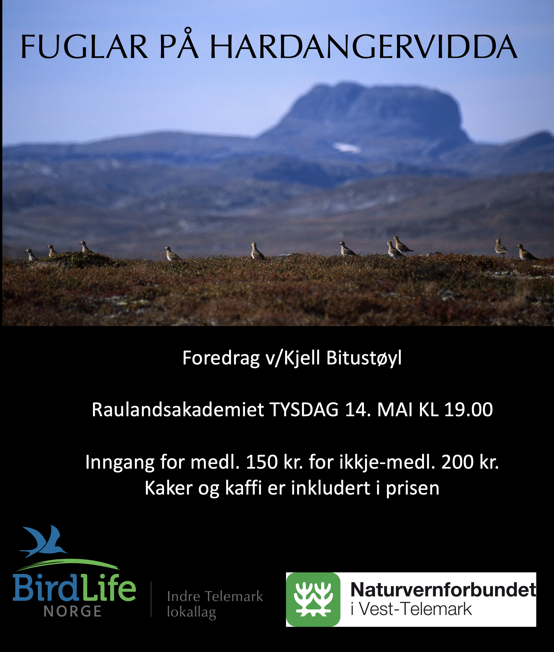 Foredrag om fuglearter på Hardangervidda, arrangert av BirdLife Norge, 14. mai på Raulandsakademiet.