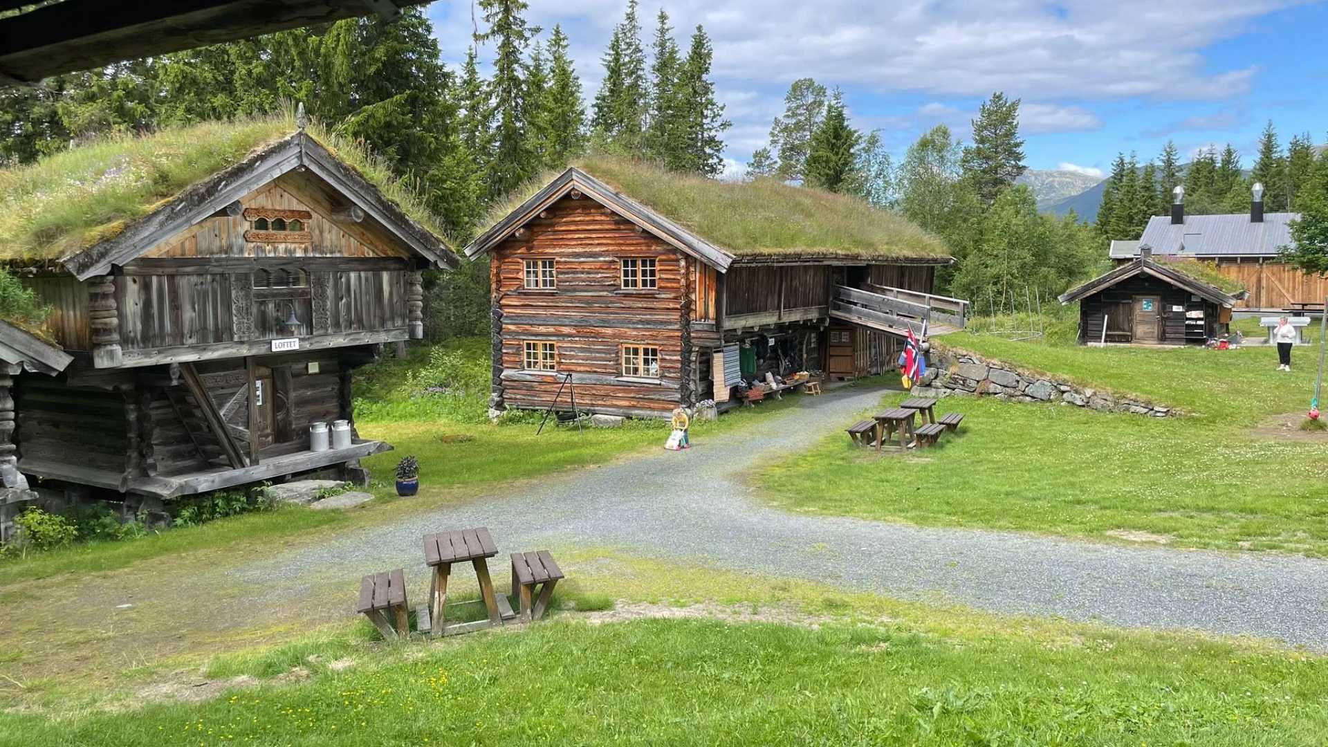 Historiske norske trehus med torvtak i en grønn landsbygd setting.