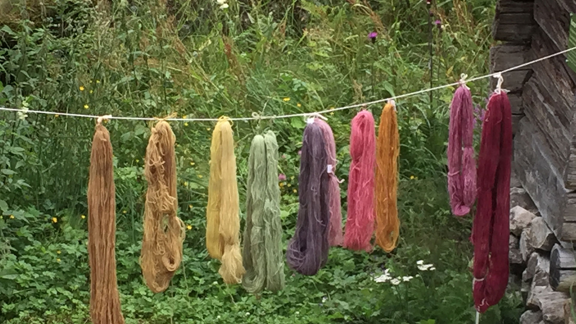 Farget garn henger til tørk utendørs, omgitt av natur og grønne vekster.