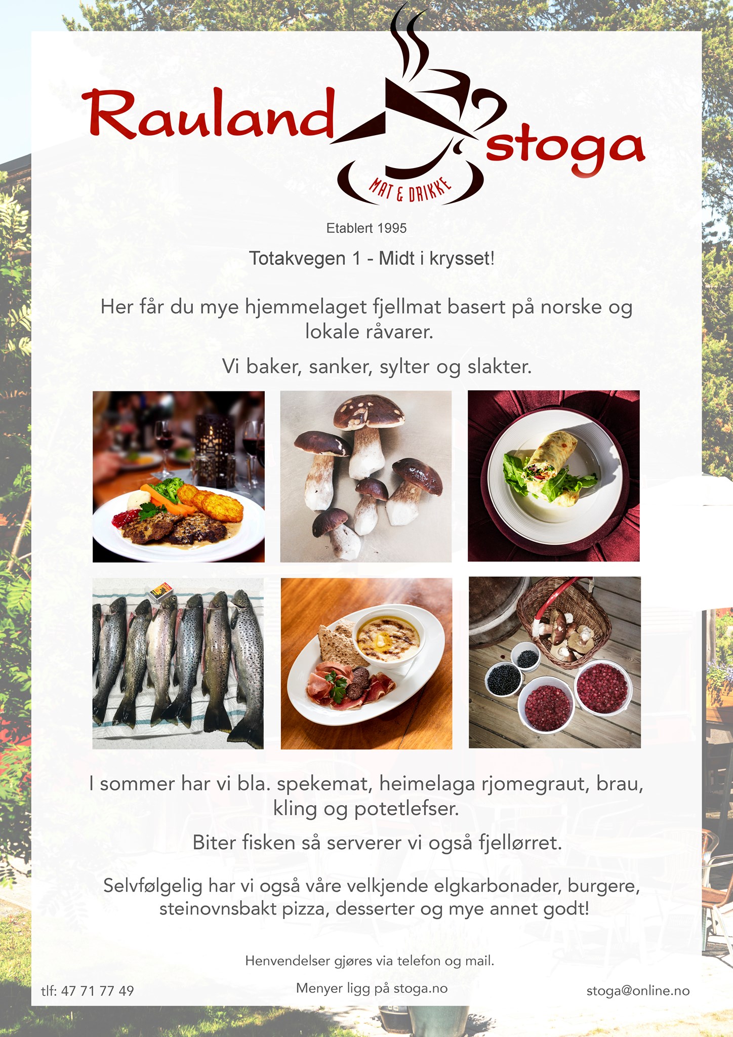 Raulandstoga: Fjellmat basert på lokale råvarer, inkludert sopp, fisk og bær. Hjemmelaget og smakfull meny.