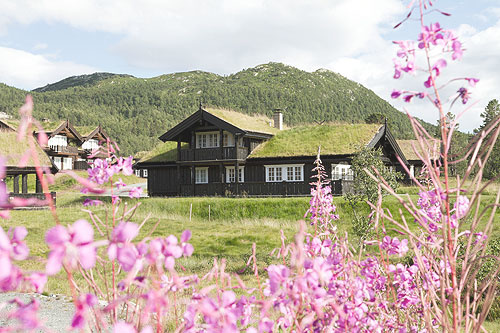 Tradisjonelt norsk hus med torvtak i naturskjønne omgivelser, omgitt av rosa villblomster og grønne åser.