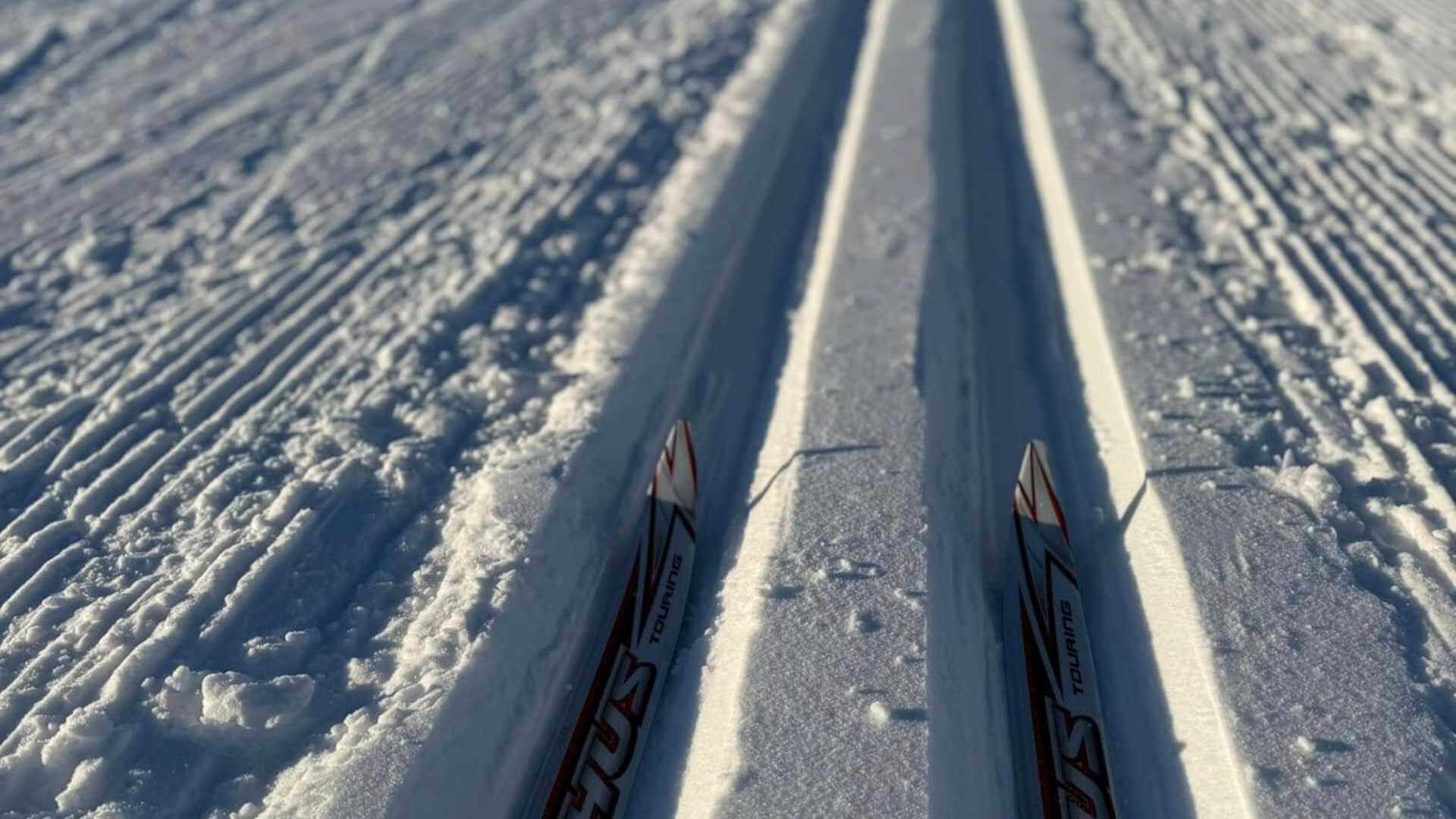 Langrennsski i preparerte spor på snødekt sti under klar himmel. Perfekt dag for skiopplevelser i naturen.