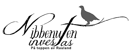 Sponsor 1 logo