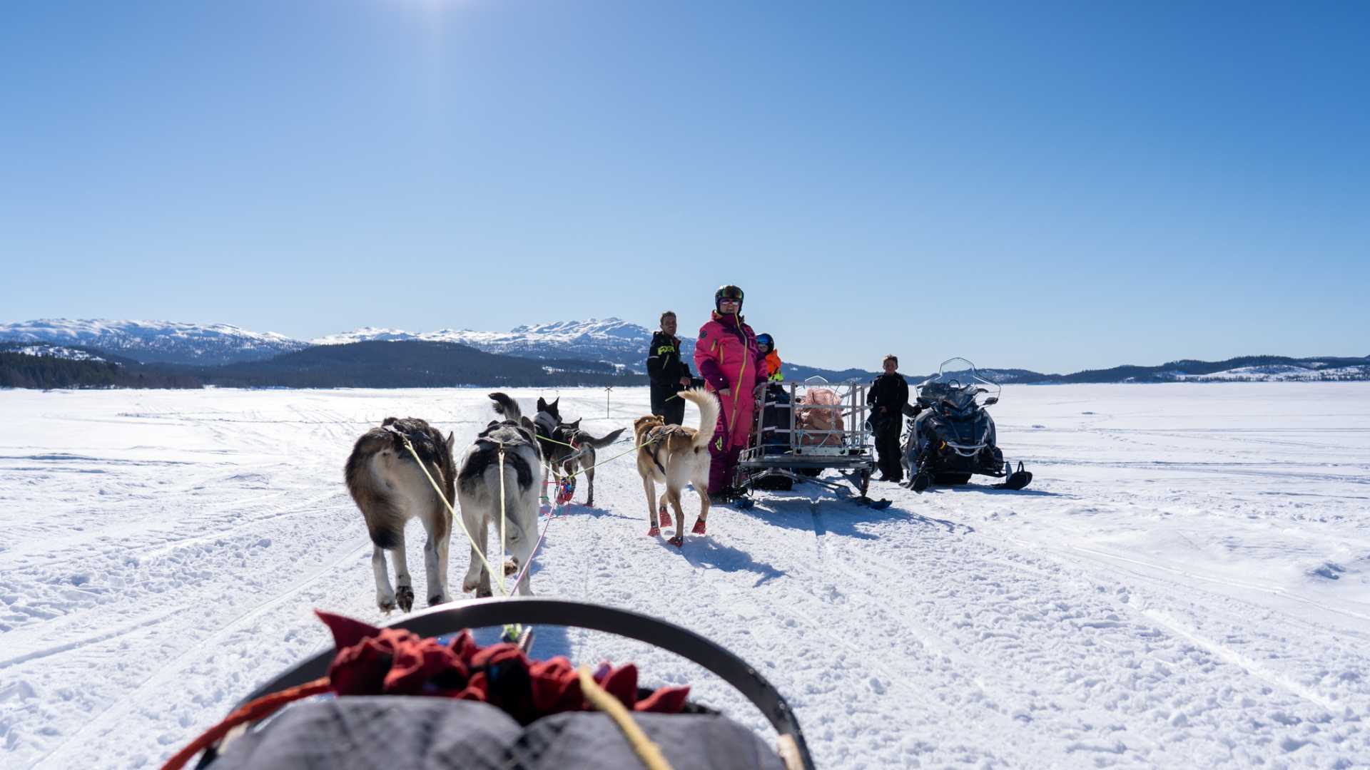 Featured image for “Rundturer med stor slede i Holtardalen”