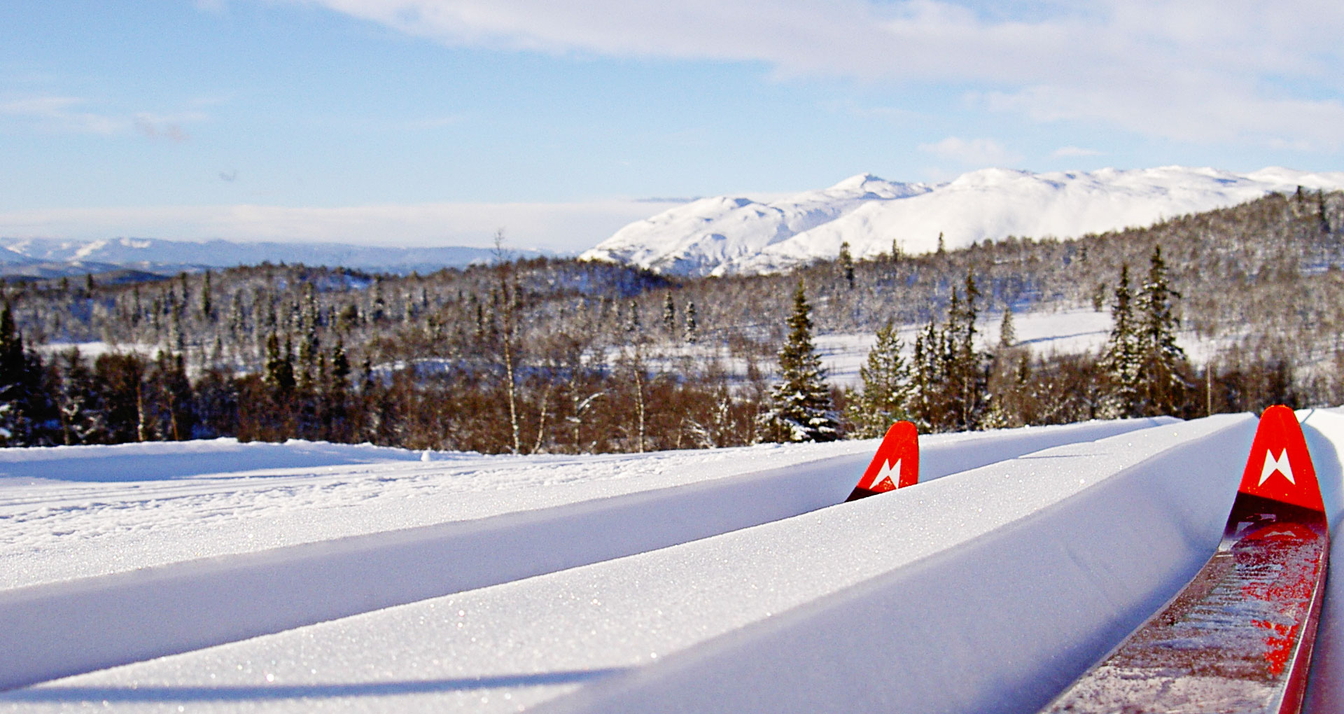 Røde ski på snø i vakker norsk fjellandskap, klare for en tur i vinterlandskapet.