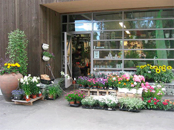Blomsterbutikk fasade med fargerike planter og blomster i potter utenfor inngangen.