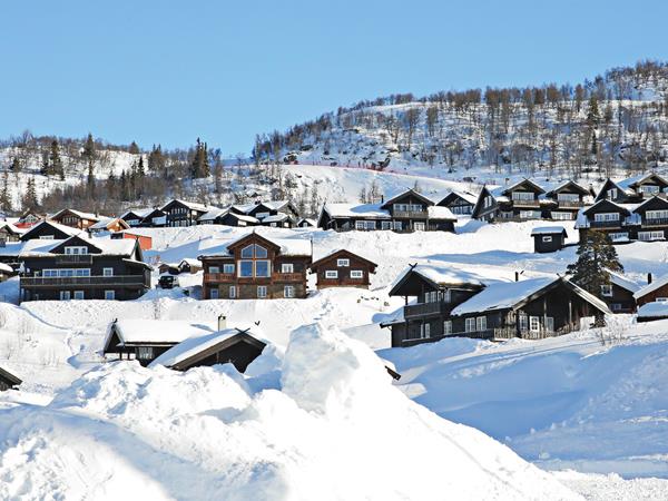 Hytter i Holtardalen (Foto: Danny Seterdal)