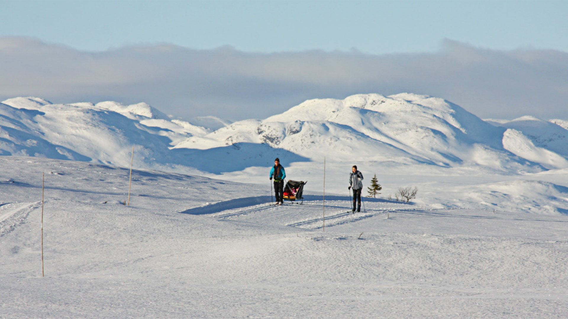 Langrenn i Silkedalen, Rauland
