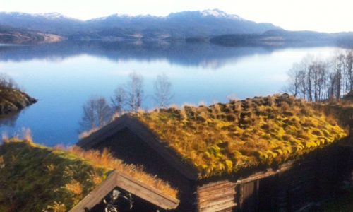 Gresskledde tak ved innsjø med fjell i bakgrunnen på en solfylt dag. Lønnsom norsk landsbygdsidyll.