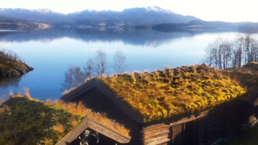 Gresskledde tak ved innsjø med fjell i bakgrunnen på en solfylt dag. Lønnsom norsk landsbygdsidyll.