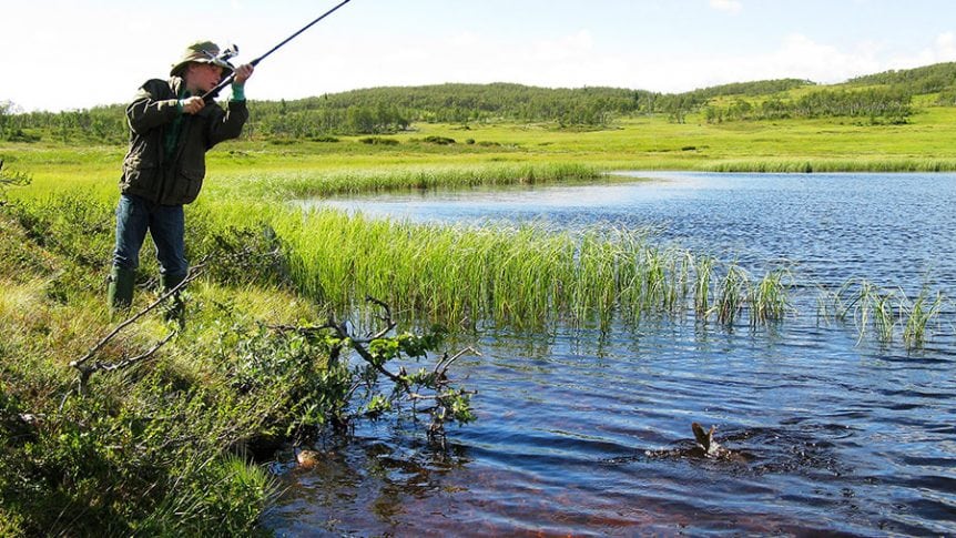 Mann fisker ved innsjø i naturskjønt landskap med skog og gress.