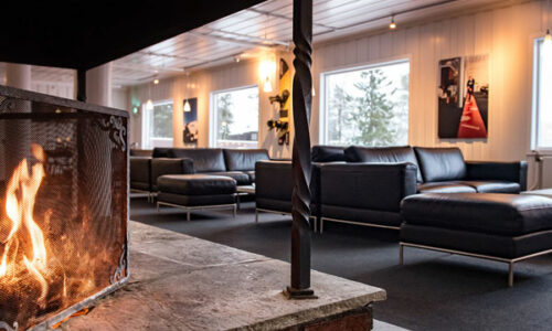 Moderne stue med peis og komfortable sofaer, store vinduer gir naturlig lys.