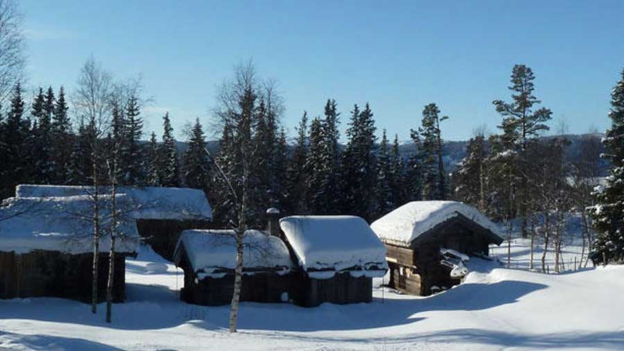 Snødekte norske hytter i en skogkledd landsbygd om vinteren, under en klar blå himmel.