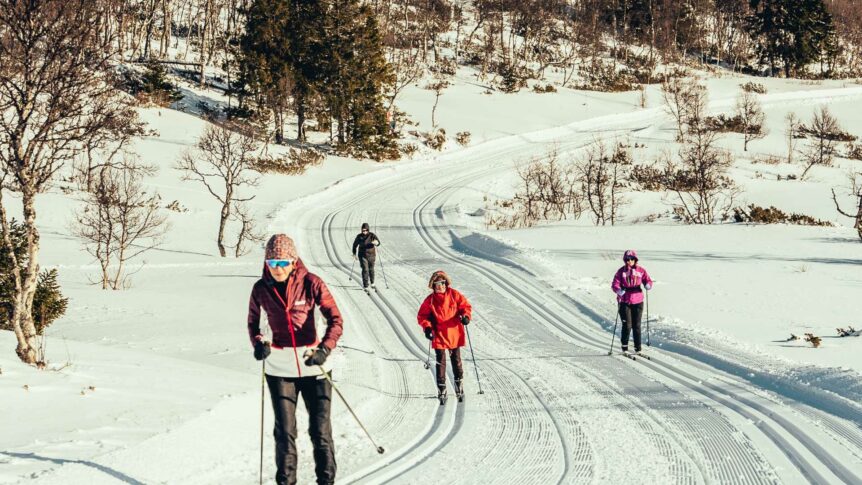 Fire personer går på ski i solfylt vinterlandskap med trær og preparerte løyper.
