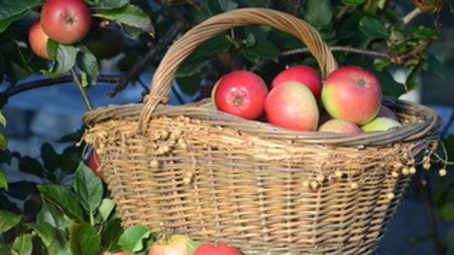 Featured image for “Gje eit kurs i gåve!”