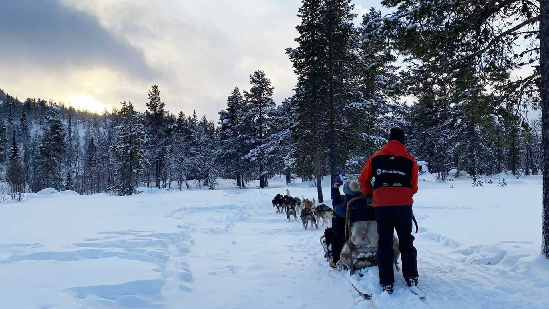 Hundekjøring i vinterlandskap med snødekte trær og soloppgang i bakgrunnen.